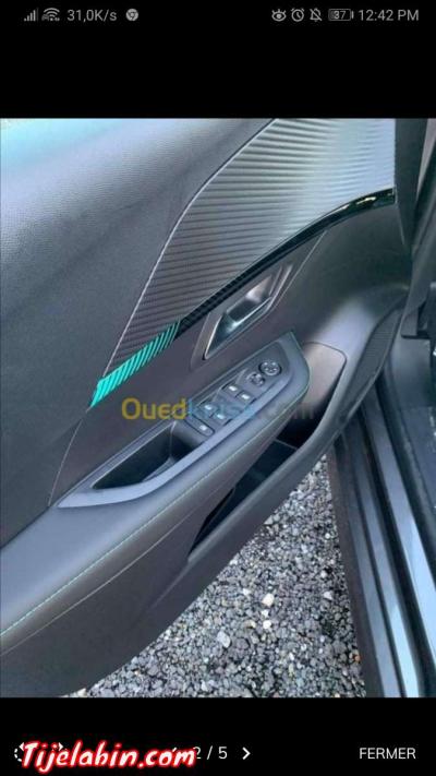 208 Alleur Gris artense - Thumbnail 4