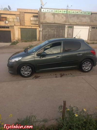 207اسونس سامبل - Thumbnail 2