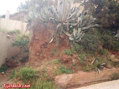 Villas  appartements. Terrains - Thumbnail 2