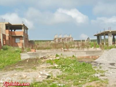 carcasse - Thumbnail 3