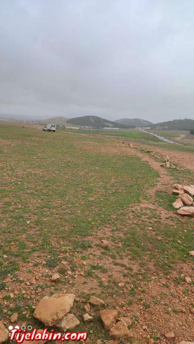 ارض للبيع - Thumbnail 5