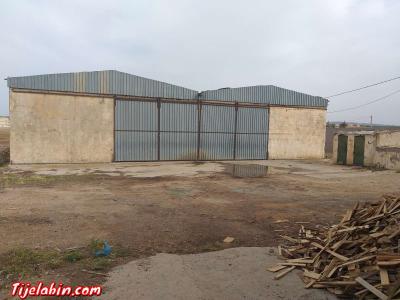 usin de boit  un grand Hangar sur la route - Thumbnail 2