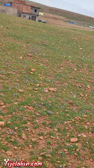 ارض للبيع - Thumbnail 6