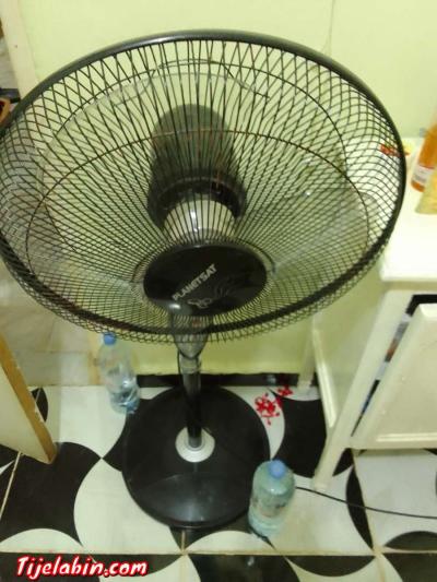 رياشا مستعملا - Thumbnail 2