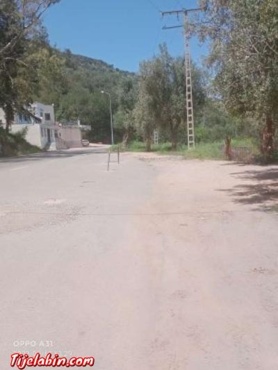 ارض فلاحيه + مطعم - Thumbnail 2