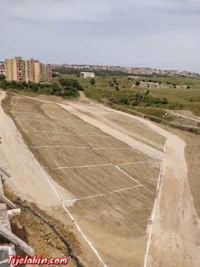 Terrain - Thumbnail 2