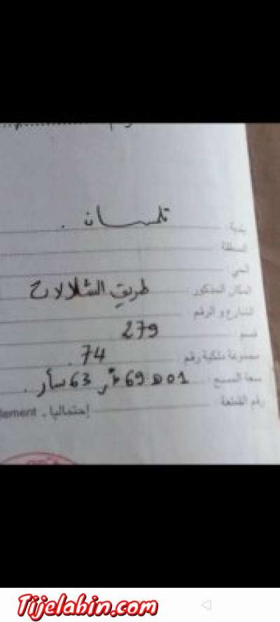 ارض فلاحيه + مطعم