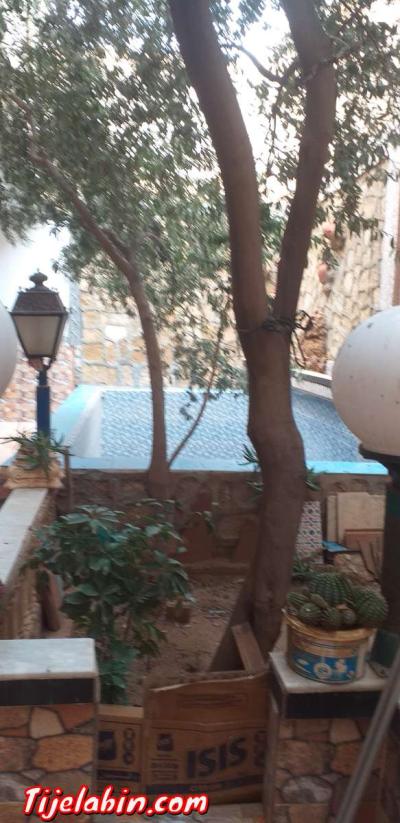 فيلا R+1      fini 100% تقع بالمديتة الجديدة ببوسعادة يقبل ا - Thumbnail 3