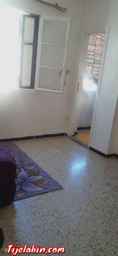 شقة اف3 - Thumbnail 6