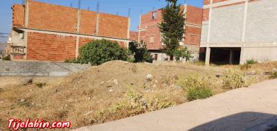 قطعة ارض في التحصيص البلدي 60 حصة