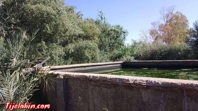 عقار فلاحي - Thumbnail 3