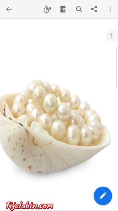 بودرة اللؤلؤ - Alger Centre, Alger