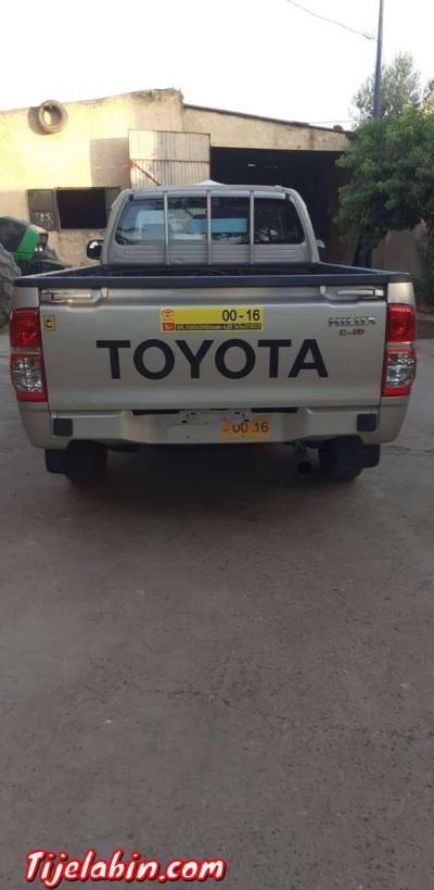 طيوطا هيليكس - Thumbnail 2