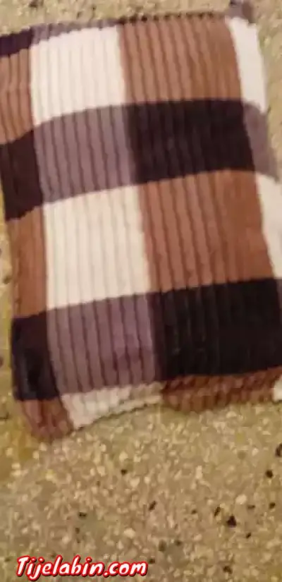 غلافات مخايد يومية للفصل الشتاء خدمة متقونة ونقية تلمسان - Thumbnail 6