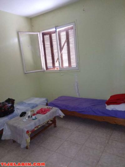 appartement f4 - Thumbnail 3