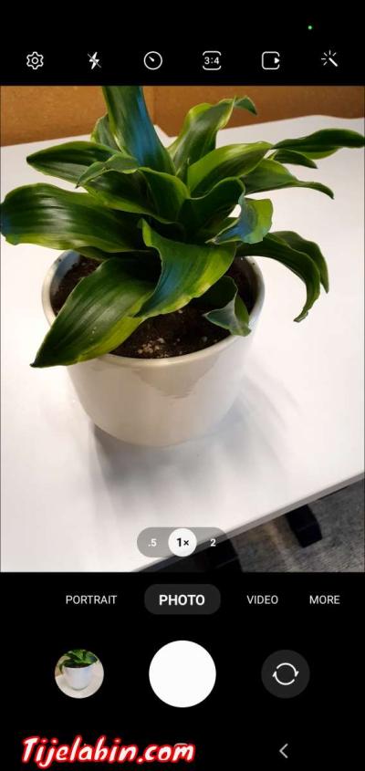 home decor Green Plant - Thumbnail 2