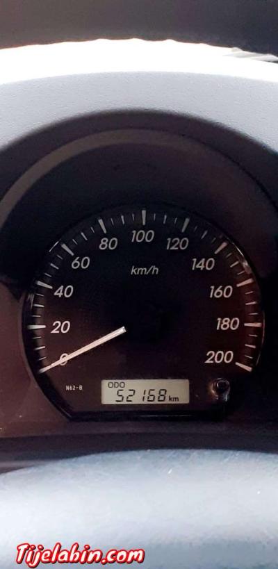 طيوطا هيليكس - Thumbnail 3