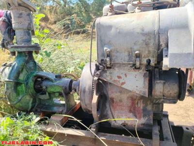 dutz 2 silander 24 chevou 511 - Thumbnail 3