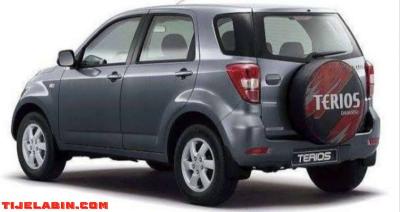 كلاصة تيريوس في حالة جيدة - Thumbnail 2