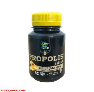 البربوليس - Thumbnail 6