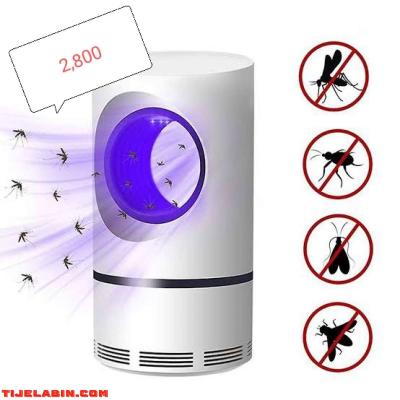 ابراي جديدة تقتل ناموس - Alger Centre, Alger