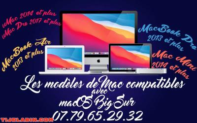 Systéme macOS Big Sur Bootable sur clé USB 32GB + 170 Logiciels Professionnel Bonus - Thumbnail 5