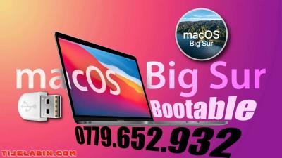 Systéme macOS Big Sur Bootable sur clé USB 32GB + 170 Logiciels Professionnel Bonus - Thumbnail 2