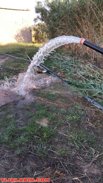 ارض زراعية - Thumbnail 2