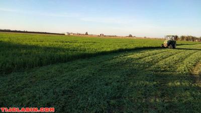 ارض زراعية - Thumbnail 4