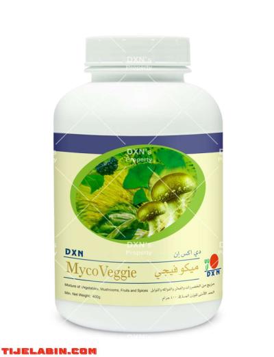 دي اكس ان مایكوفیجي - Alger Centre, Alger