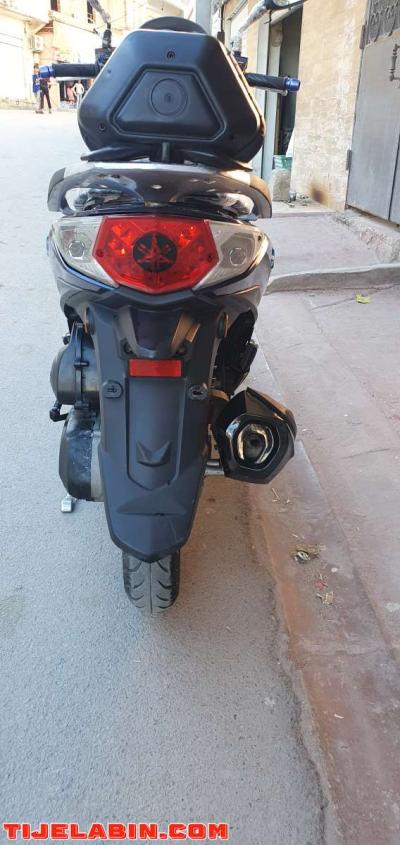 symphonie ST 2019 machi 12 elf - Thumbnail 5