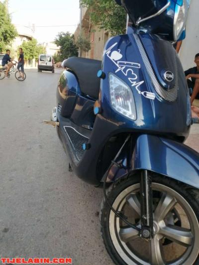 Fiddel 3 - Thumbnail 3