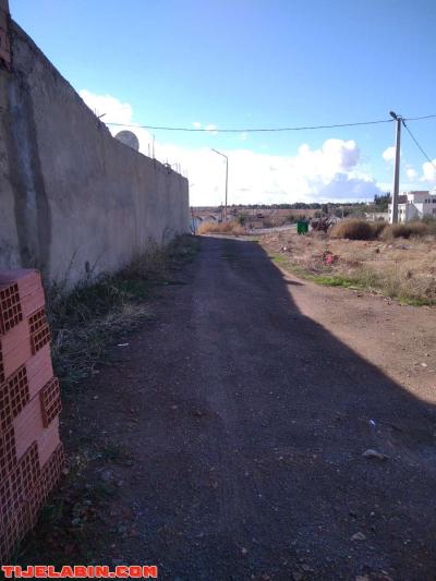 lot de terrain à bâtir 241 mètre carré - Thumbnail 2