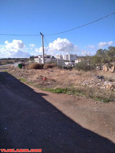 lot de terrain à bâtir 241 mètre carré - Thumbnail 5