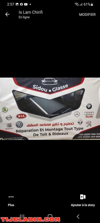 réparation toit ouvrant et rideaux chez sidou Glace - Thumbnail 4