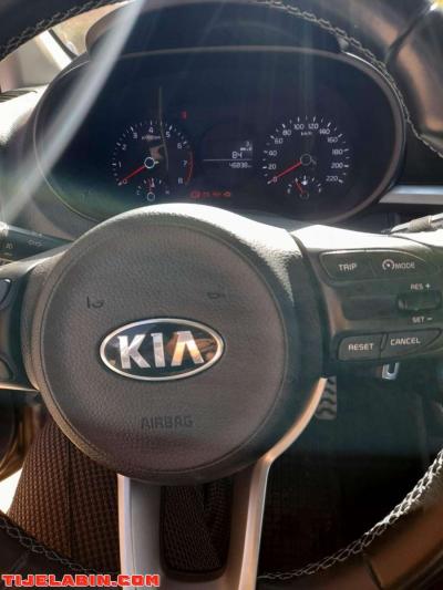 كيا بيكانتو - Thumbnail 4
