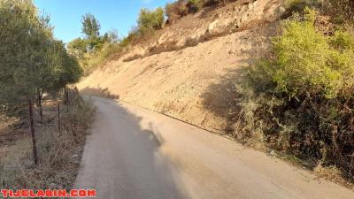 terrain - Thumbnail 4