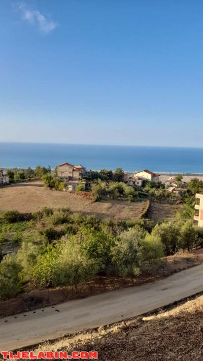 terrain - Thumbnail 6