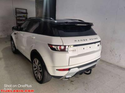 Evoque - Thumbnail 2