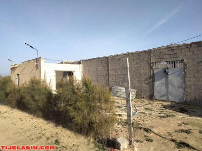 الأرض فلاحية - Thumbnail 4