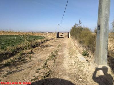 الأرض فلاحية - Thumbnail 2