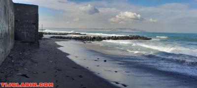 résidence jasmin  à ford l'eau centre - Thumbnail 2