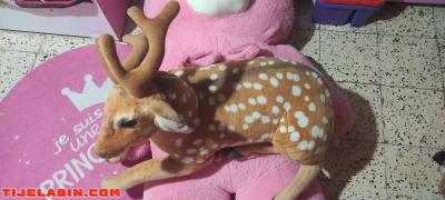 +gazelle - Thumbnail 3