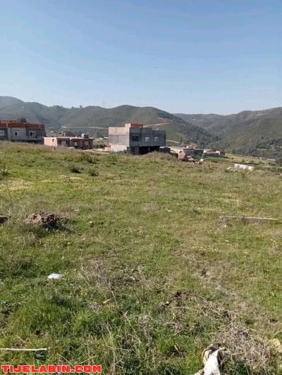 بيع قطع ارض في تواشنة ضواحي قورصو و بودواو - Thumbnail 2