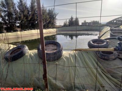 الأرض فلاحية - Thumbnail 3