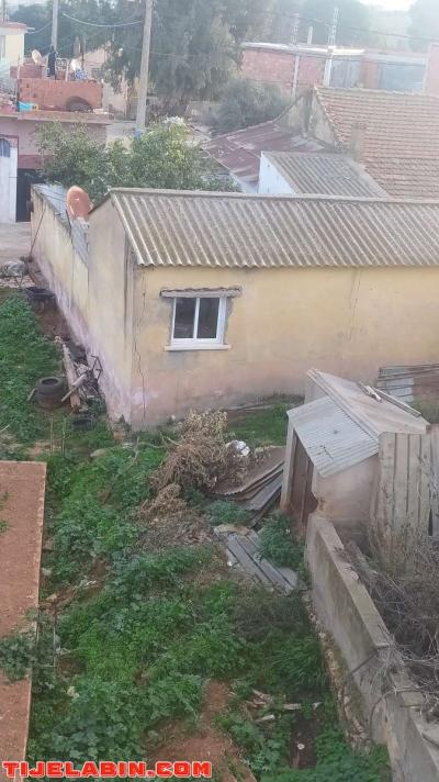 دار عرب للبيع - Thumbnail 3