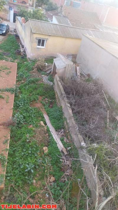 دار عرب للبيع - Thumbnail 2