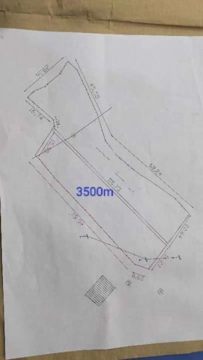 في ولاية مستغانم بلادية الصيادة الحشم