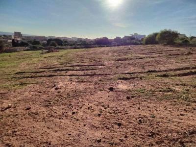 في ولاية مستغانم بلادية الصيادة الحشم - Thumbnail 3