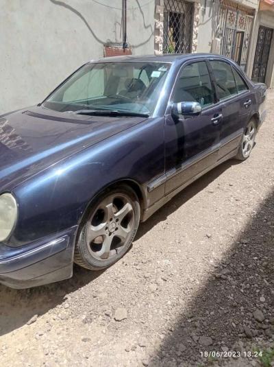 mercedes - Rouiba, Alger